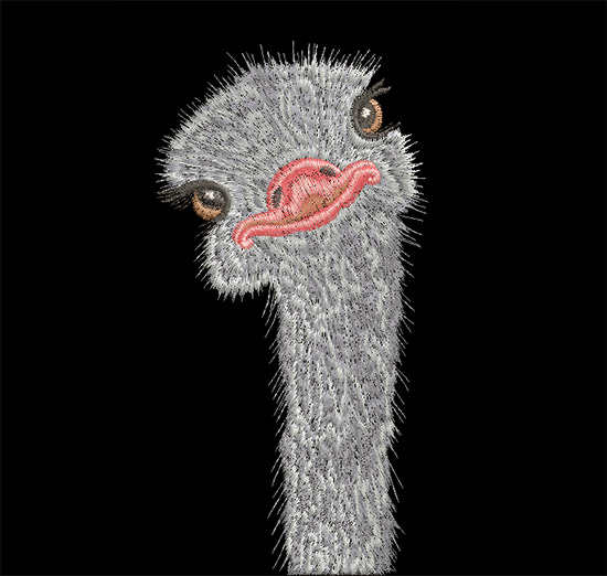 Machine Embroidery Design Ostrich Machine Embroidery Design Ostrich